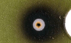 Effect of the laser at full power on one spot, with the focused beam.