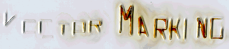 Photograph of vector marking in acrylic.
